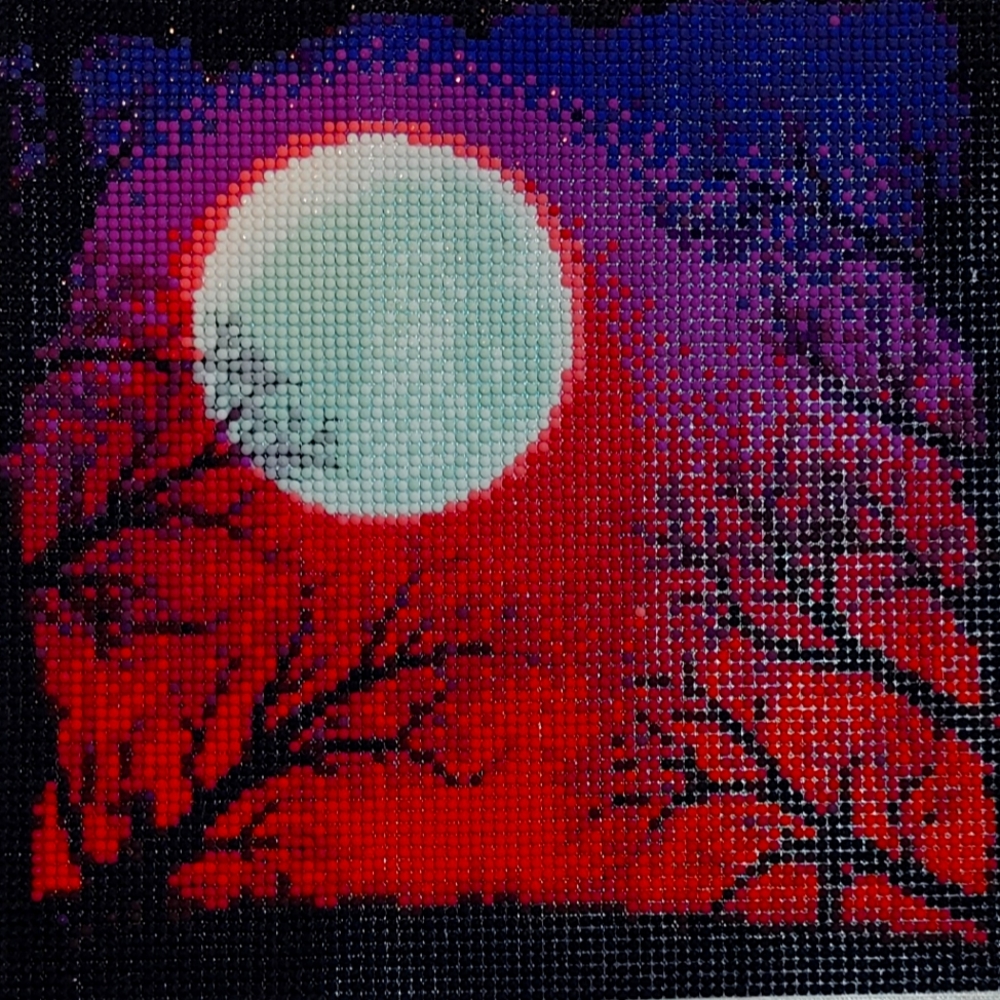 COMPLETED night sky diamond painting